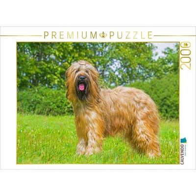 CALVENDO Puzzle Eine wahre Schönheit - Briard | 2000 Teile Lege-Größe 90x67cm Foto-Puzzle für glückliche Stunden