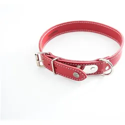 Martin Sellier Hundehalsband mit Steppnähten und Platte (Hund, Spazieren), Halsband + Leine