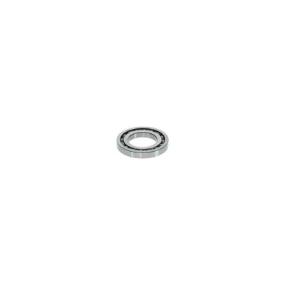 BOSCH Lager 1 460 925 001 1491140000