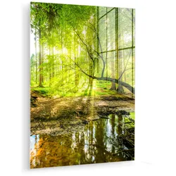 ACRYLGLASBILD Wald - Landschaft - Wasser - Bäume - Sonne - Grün - Natur 60x80 cm