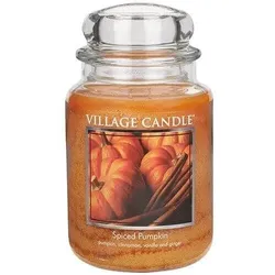 Spiced Pumpkin 626g