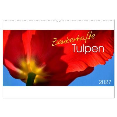 Zauberhafte Tulpen (Wandkalender 2027 DIN A3 quer), CALVENDO Monatskalender