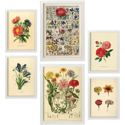 POSTER Set Mit 6 Blumen In Vintage A3 & A4 Weißer Rahmen