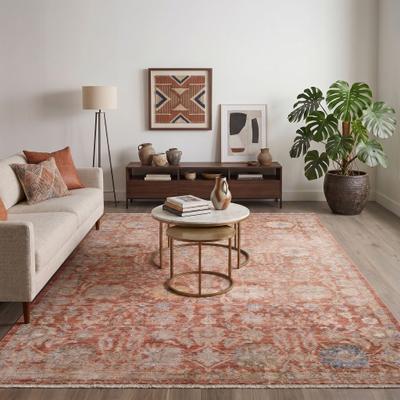Amer Rugs Albany Vintage Power-Loom Pink Area/Runner Rug