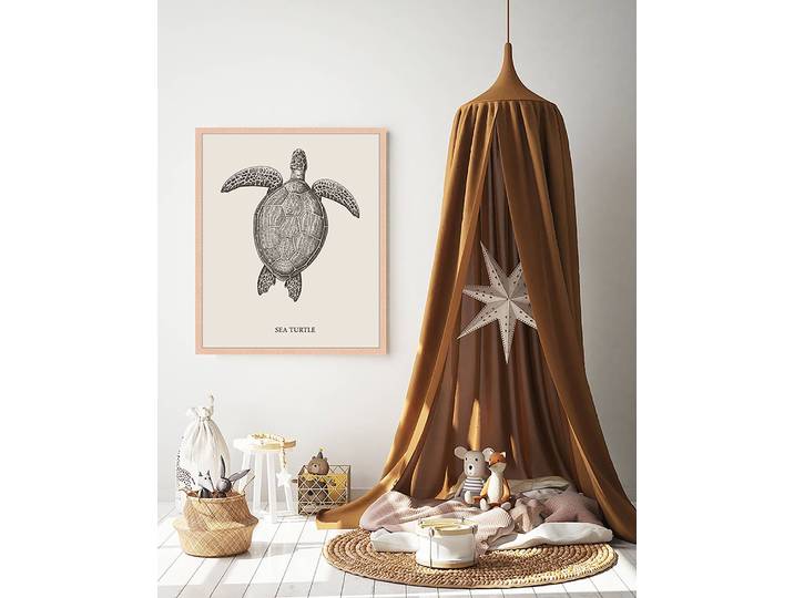 Tableau déco Sea Turtle 53 x 63cm Multicolore