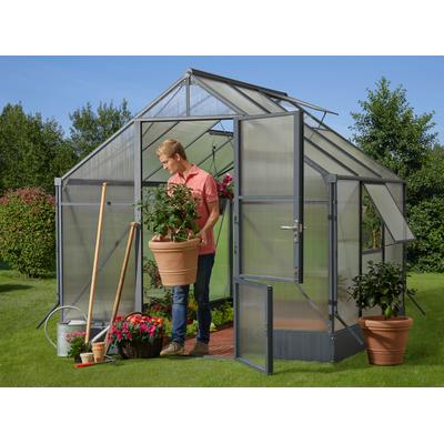 Gewächshaus KONIFERA "Genova" aus 6 mm Hohlkammerplatten aus UV-stabilisiertem Polycarbonat", grau (anthrazit), B:245cm T:227cm, Gewächshäuser, mit hohem Bodenrahmen, Dachfenster, Regenrinne und Regenfallrohr