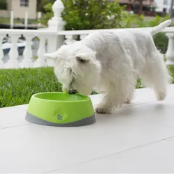 LickiMat OH Bowl - Schlecknapf für Hunde - grün - Medium