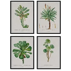 POSTER Set mit 4 saftiger Blätter aus dem Künstler PierreJoseph Redouté A4 Schwarzer Rahmen
