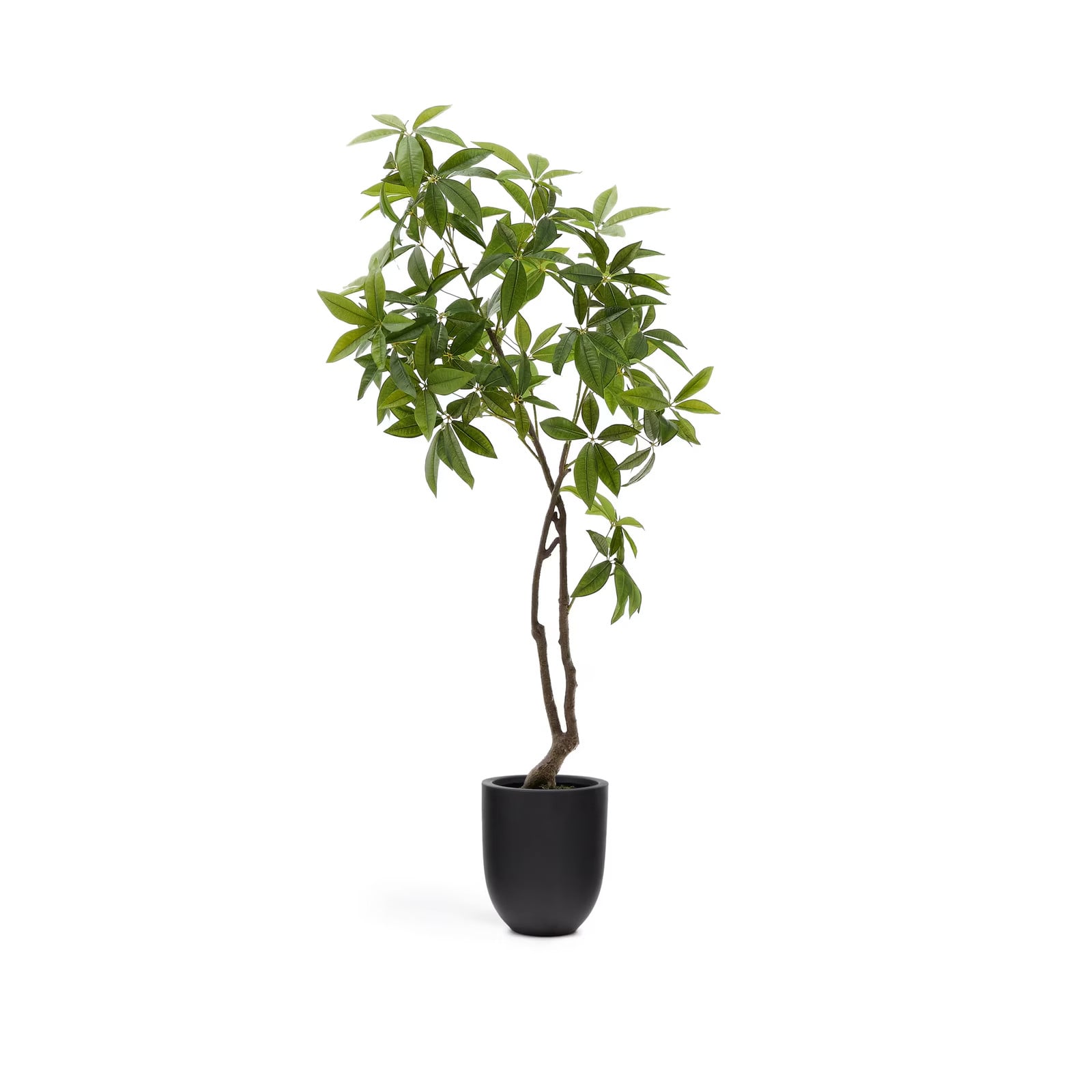 Kave Home Kunstplant Pachira, 180 cm, Groen