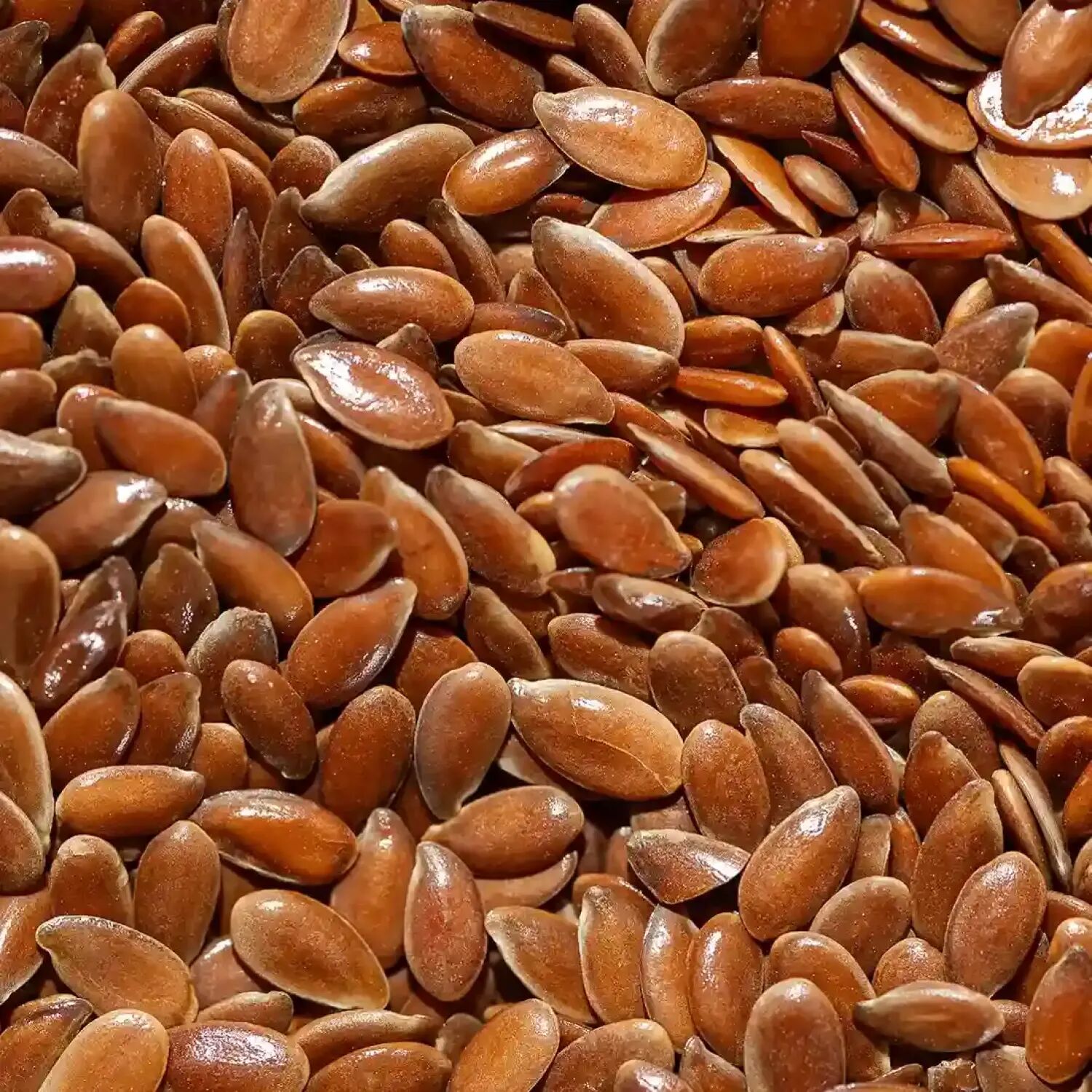 HSN Semillas de lino marrón 1kg - Cereales y Semillas - Semillas - 67  Servicios