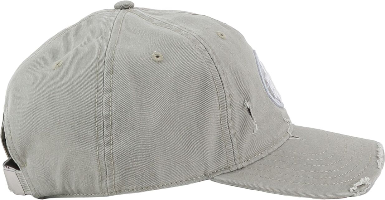 Trucker Cap ALPHA INDUSTRIES "World Acid Cap", Herren, Gr. onesize, stone, Baumwolle, Caps