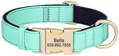 Inspire Essentials Personalized Waterproof Dog Collar With Soft Padding green l