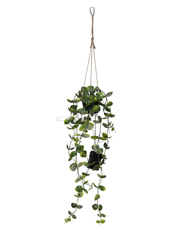STAR Trading LED-Dekoleuchte "Laos'' in Grün - (H)65 x Ø 10 cm - onesize