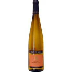 Riesling Brandluft 2023 - Domaine Boeckel