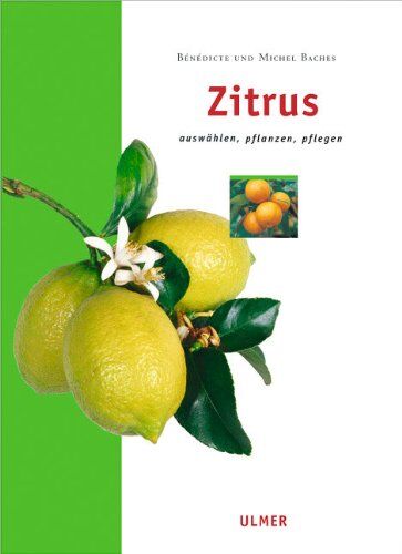 Bénédicte Bachès - Zitrus: Auswählen, pflanzen, pflegen - Preis vom 09.10.2026 07:28:09 h