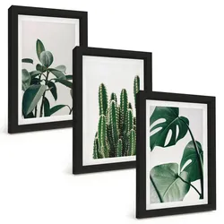 BILDER SET 3er Set - 20x30 cm Schwarzer Rahmen - Tropische ästhetische Pflanzen