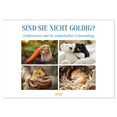 Sind sie nicht goldig? (Wandkalender 2026 DIN A2 quer), CALVENDO Monatskalender