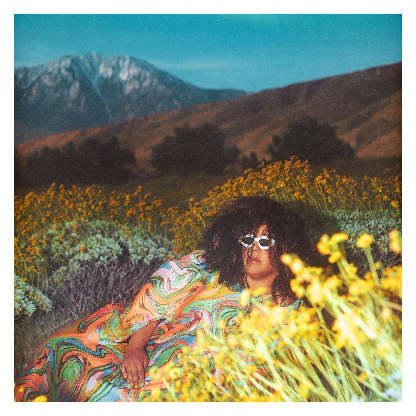 Island WHAT NOW (UK) (Brittany Howard) (42803708)