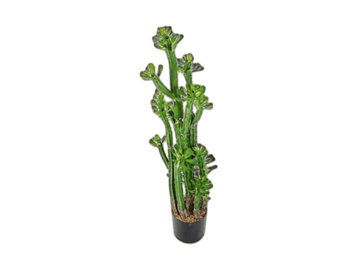 Lebensechte Kunstpflanze „Euphorbia Roylena Cactus“, Ø 30 x 118 cm Grün Baq Design