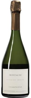 """Les Monts Fournois""" """Les Monts Fournois Montagne Verzy Grand Cru 2013 Champagne - France"""