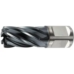 Holex, Lochsäge, Kernbohrer HSS Schnitttiefe 30 mm 14 mm (30 mm)