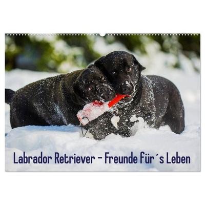 Labrador Retriever - Freunde für´s Leben (Wandkalender 2027 DIN A2 quer), CALVENDO Monatskalender