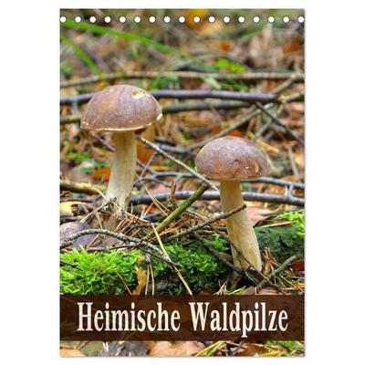 Heimische Waldpilze (Tischkalender 2027 DIN A5 hoch), CALVENDO Monatskalender