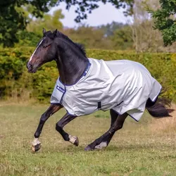 BUCAS Power Turnout Light Classic 0g Regendecke Weidedecke 1680D silver, Buc17_Gr.: 125cm