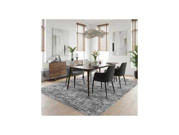 Tapis Moderne - LUNSY - Tapis lavable pour salon à poils courts - Gris clair - 160 x 230 cm