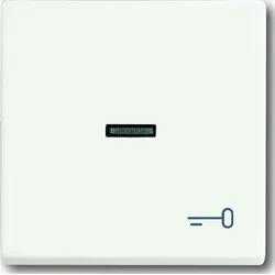 Busch-Jaeger Wippe stws mt 1789 TR-884 2CKA001751A3032