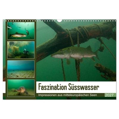 Faszination Süsswasser (Wandkalender 2027 DIN A3 quer), CALVENDO Monatskalender