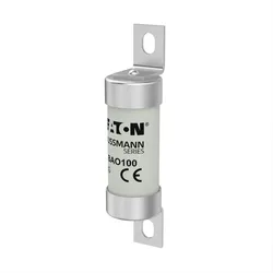 Eaton Sicherungseinsatz BAO100
