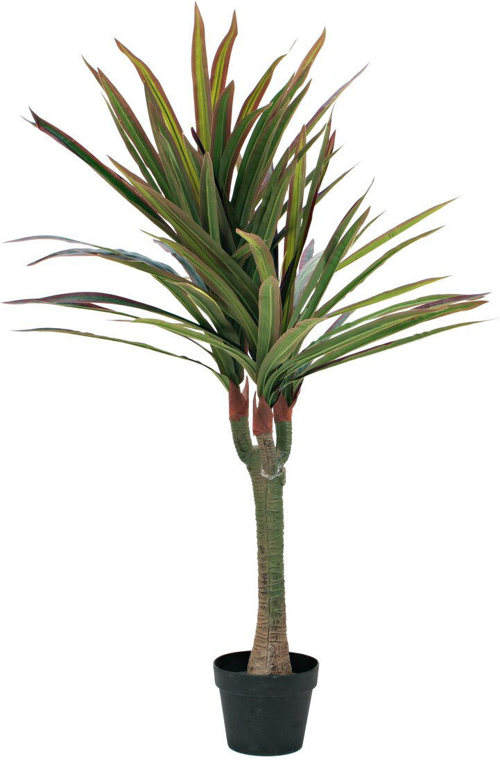 Europalms Dracena, Kunstpflanze, 120cm