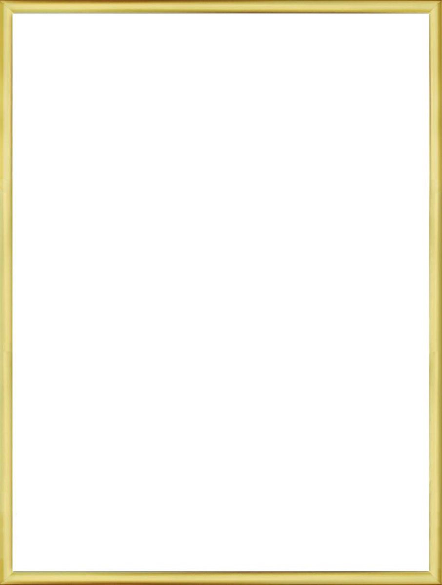 Homedecoration Fotolijst Goud Glans 72 x 99 cm