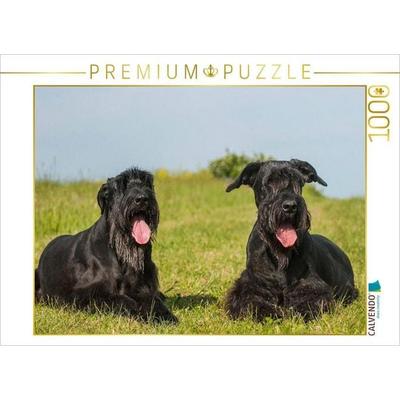 CALVENDO Puzzle Zwei Riesenschnauzer auf der Wiese | 1000 Teile Lege-Größe 64x48cm Foto-Puzzle für glückliche Stunden