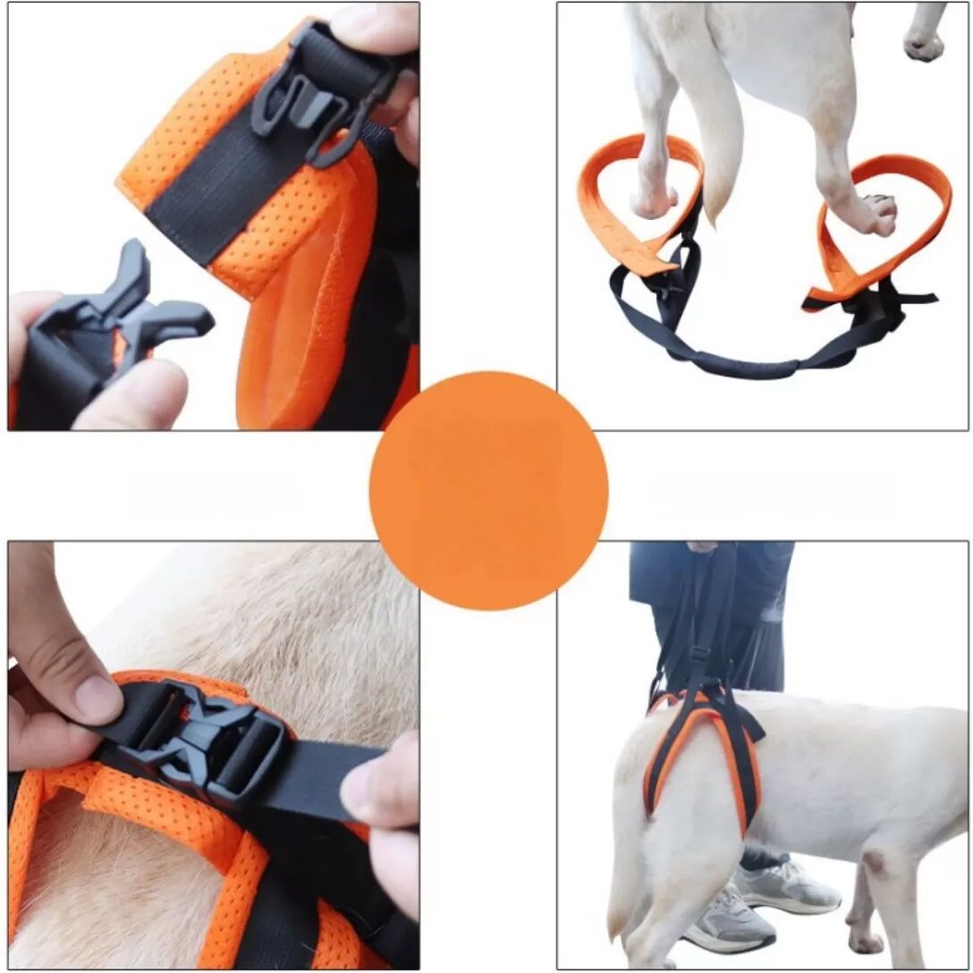 INF Verstellbarer Hunde-Hinterbein-Stützgurt für mobile Hundeunterstützung M