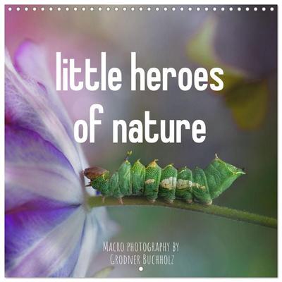 little heroes of nature (Wall Calendar 2026 12 × 12 Inch) CALVENDO 12 Month Wall Calendar
