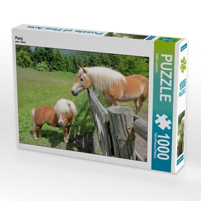 CALVENDO Puzzle Pony | 1000 Teile Lege-Größe 64x48cm Foto-Puzzle für glückliche Stunden