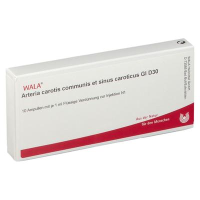 Arteria Carotis Communis et sin.carot.GL D 30 Amp. 10x1 ml Ampullen