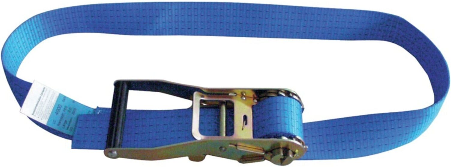 R-Zurrgurt 50mm 10m 1-tlg. ; E/D/E