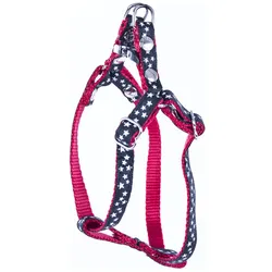 Martin Sellier Sternen Hundegeschirr (S, Hund, Spazieren), Halsband + Leine