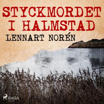 Styckmordet i Halmstad - Lennart Norén, Audio, 9788726315943
