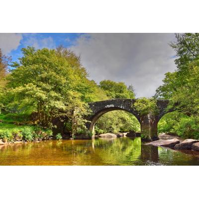 Fototapete PAPERMOON "Brücke im Wald", bunt, B:3m L:2,23m, Vlies, Tapeten