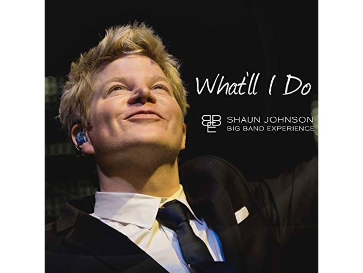 Shaun Johnson Big Band Experience - What'll Do