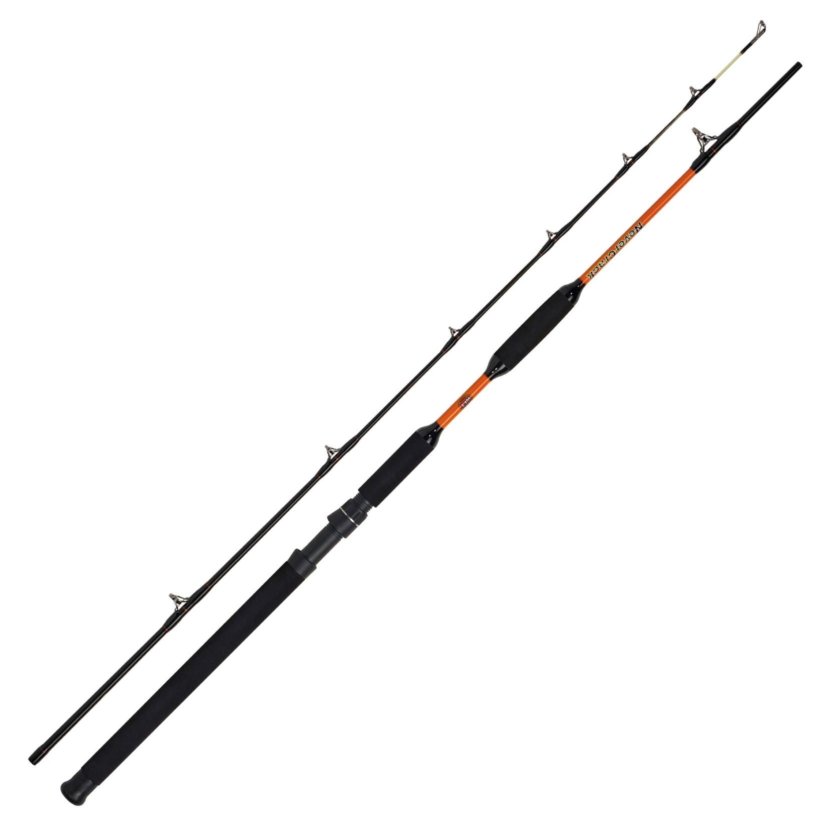 WFT Never Crack Bank Cat II 3,15m 200-1000g 2 Teile Wallerrute