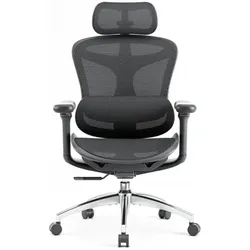 Sihoo, Bürostuhl, Doro C300