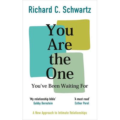 You Are the One You've Been Waiting For, Taschenbuch von Richard Schwartz, Vermilion, 978-1-78504-512-7