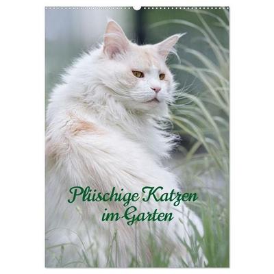 Plüschige Katzen im Garten (Wandkalender 2027 DIN A2 hoch), CALVENDO Monatskalender