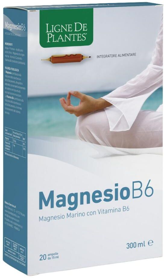 NATURA SERVICE Srl Magnesio B6 - 20 ampolle da 15 ml