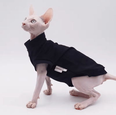Inspire Picks DUOMASUMI Cooling Cotton Cat Vest For Hairless Cats black xsold